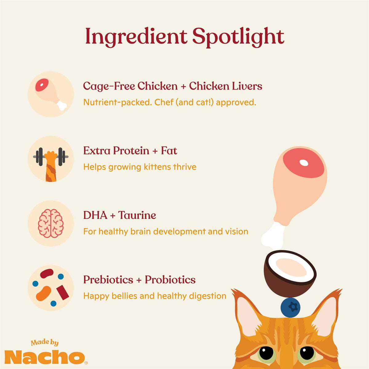 Chicken Liver & Bone Broth Dry Cat Food P2077