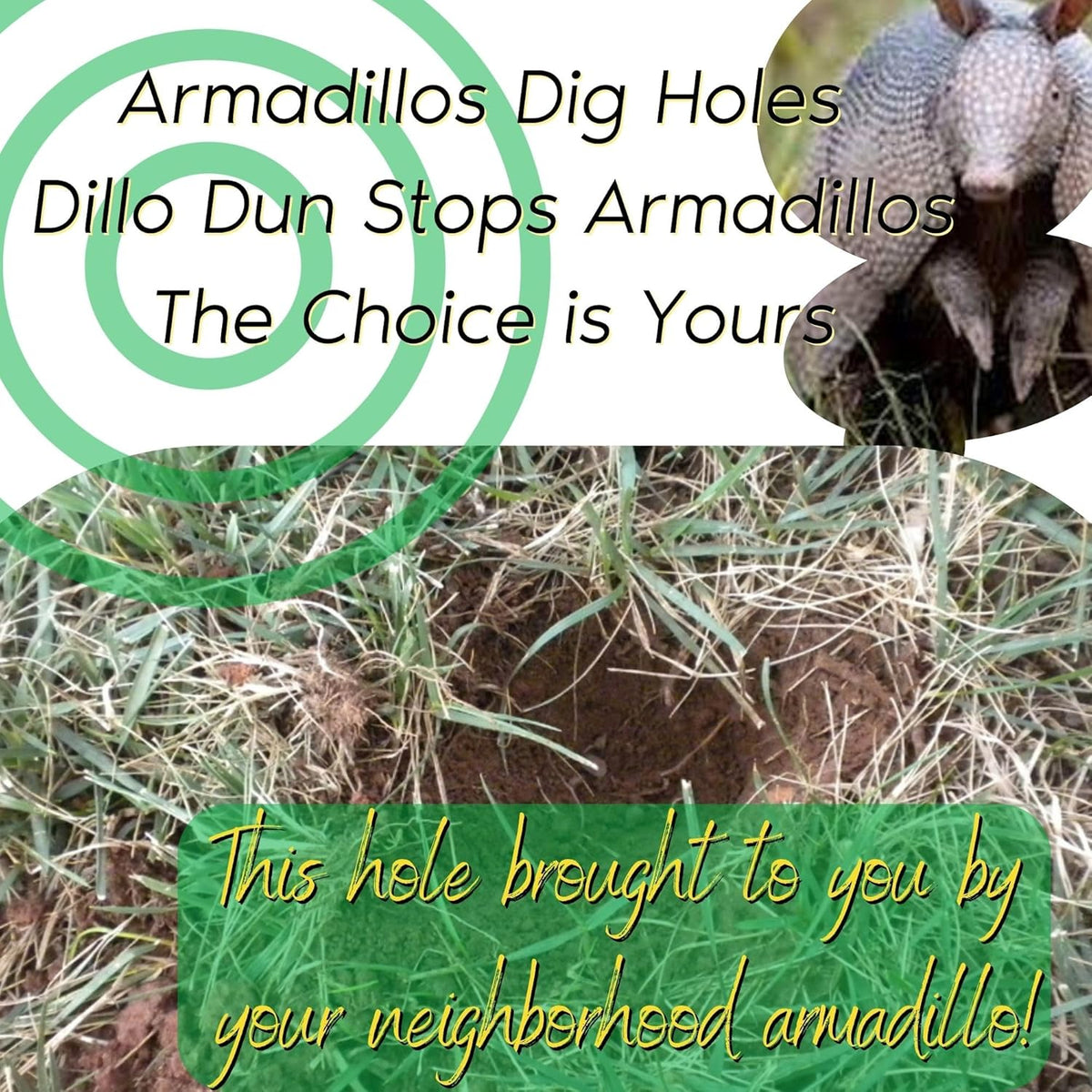Armadillo Repellent Spray Y386989