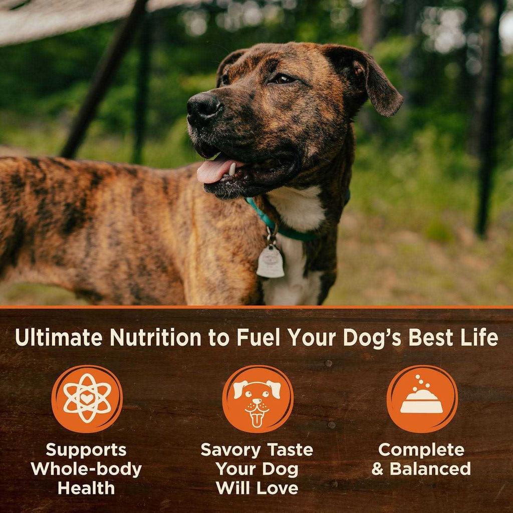 Grain Free Beef and Carrots Wet Canned Dog Food V760452