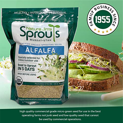 100% Organic Wheatgrass Seeds for Sprouting T280
