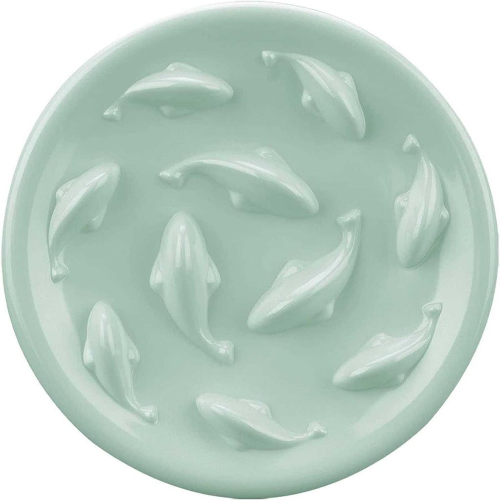 Slow Feeder Bowl for Cats and Small Dogs B84012