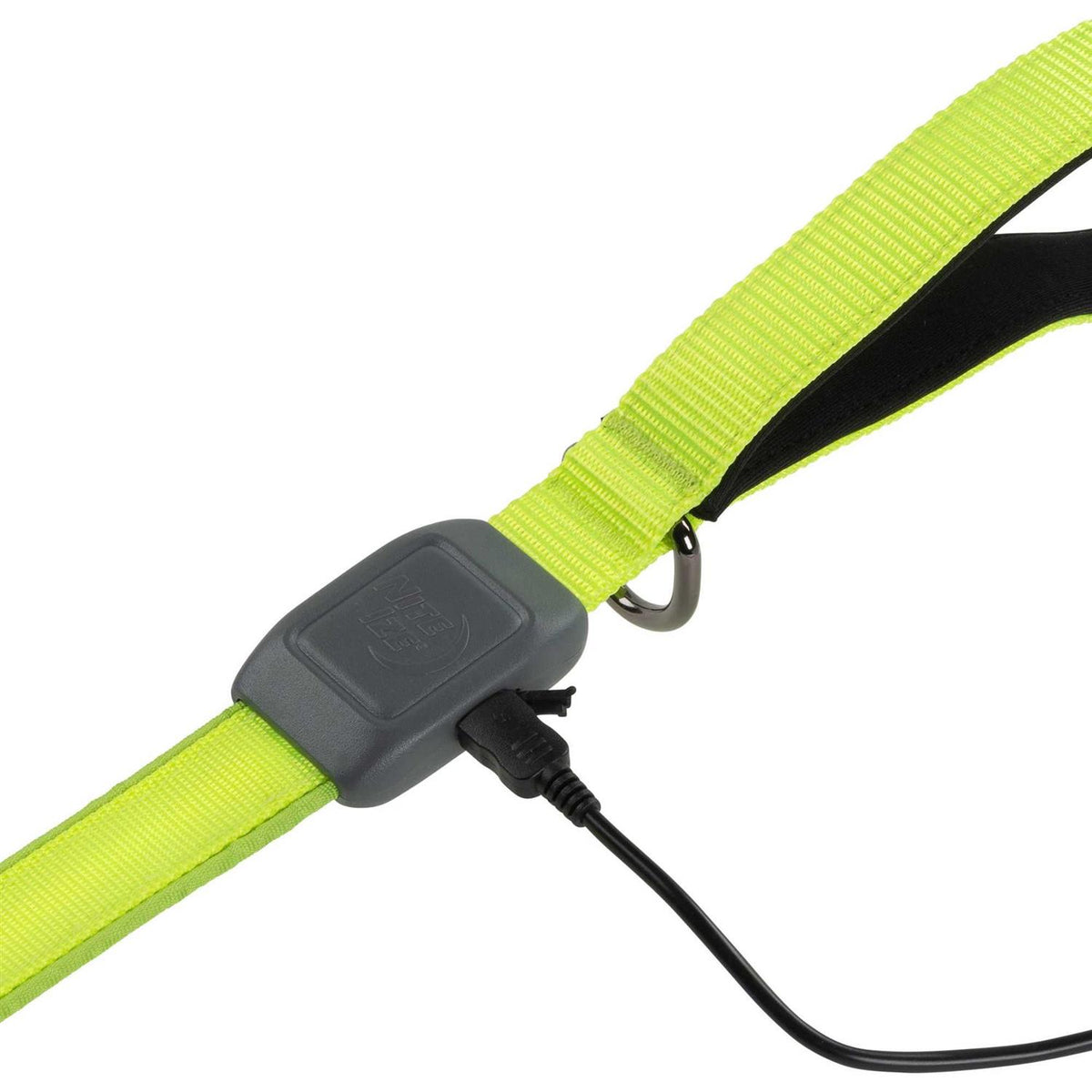 Rechargeable LED Leash N5663
