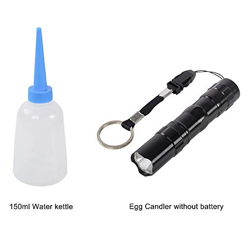 48 Egg Incubator with Automatic Egg Turning C246