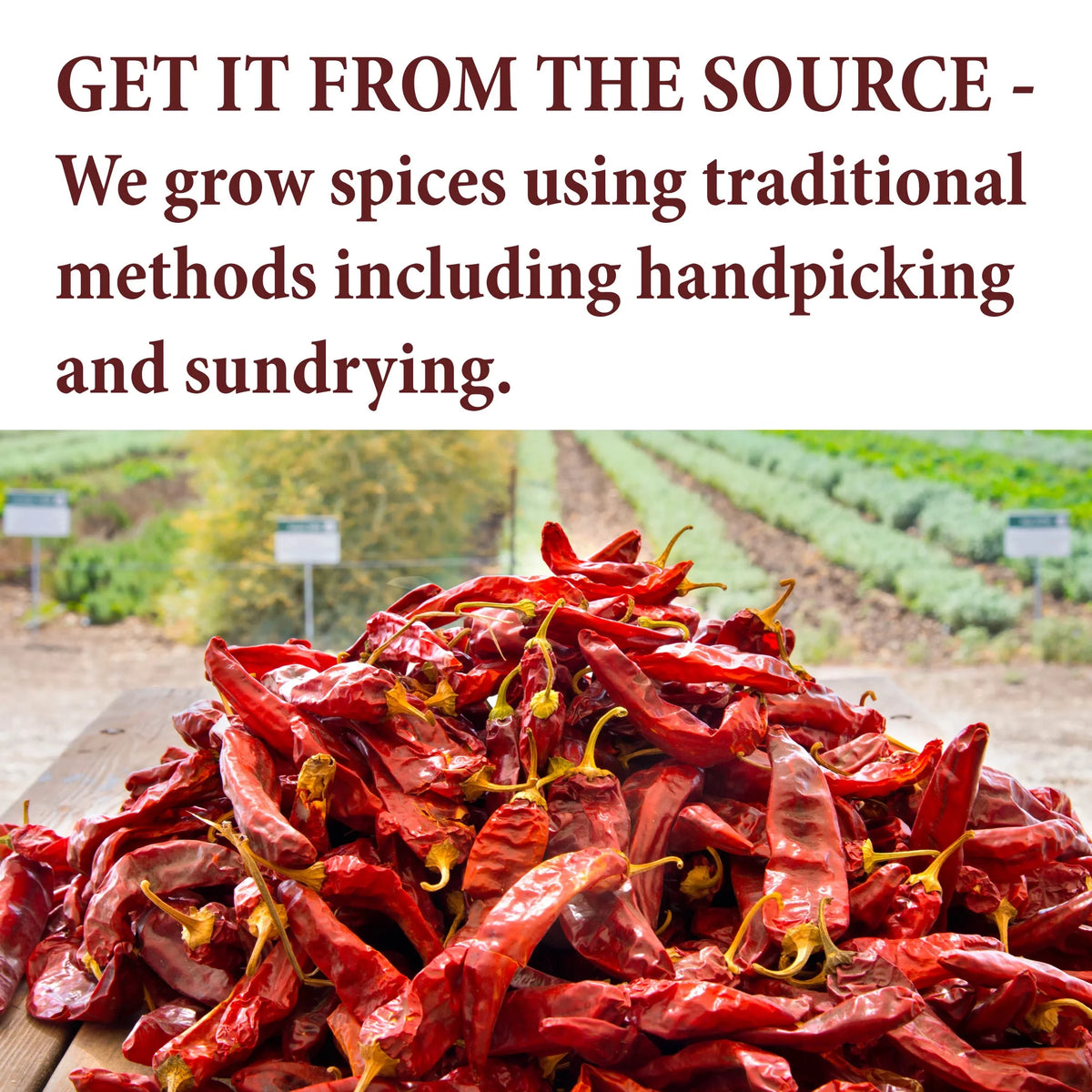 Star Anise Ground 32 oz M6055