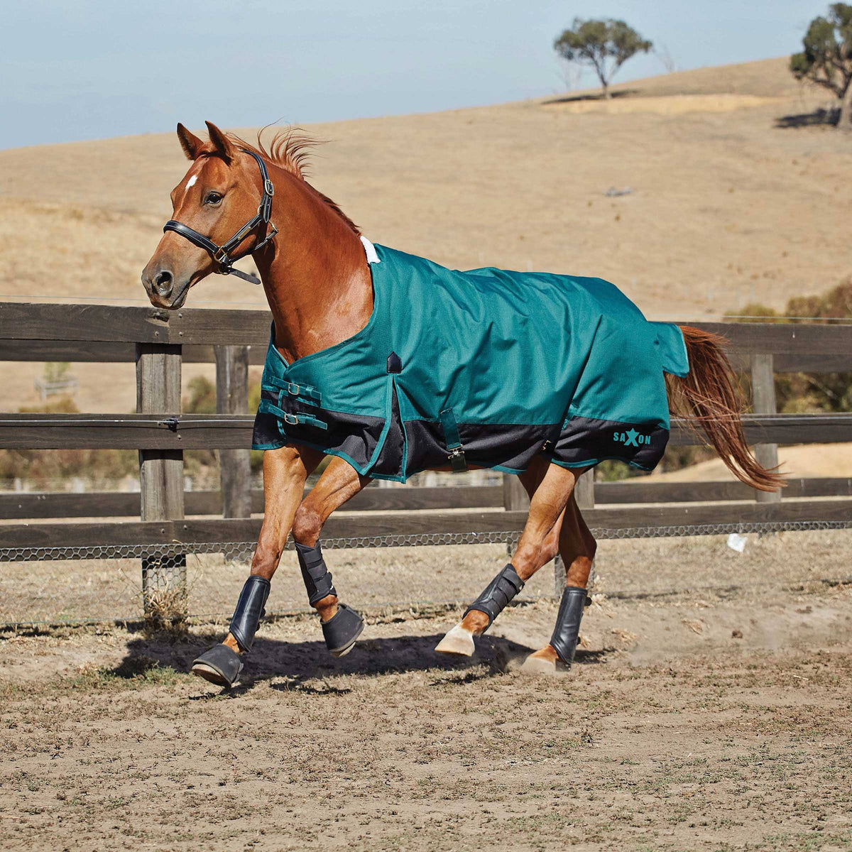 1200D Turnout Sheet T8101
