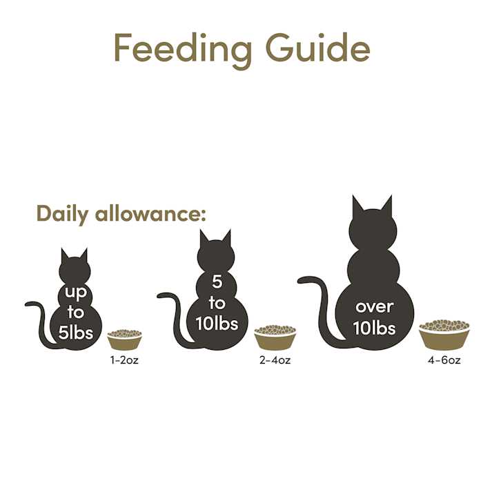 Chicken Grain Free Dry Cat Food Y7860