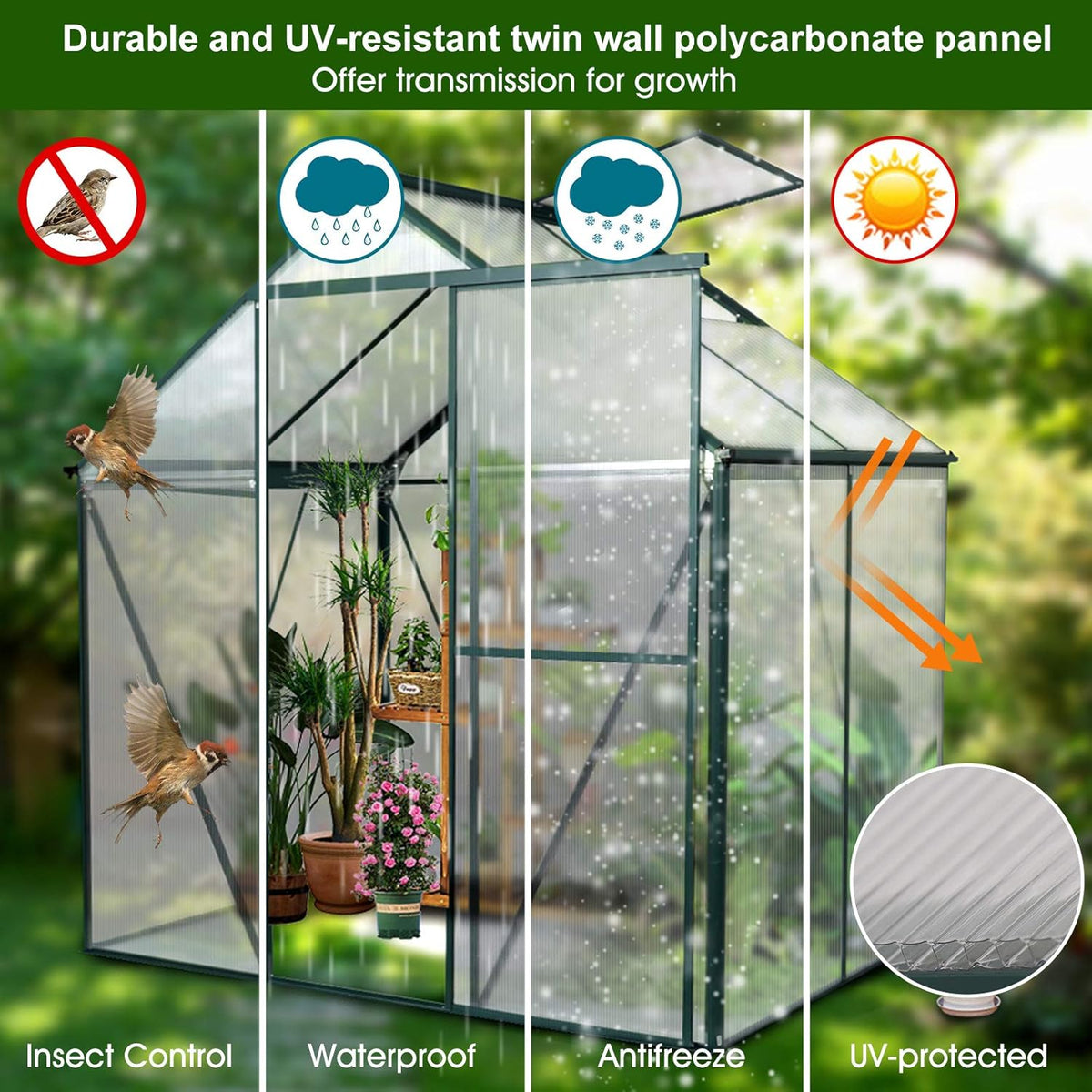 Polycarbonate Greenhouse with Sliding Door 8' x 6' S716