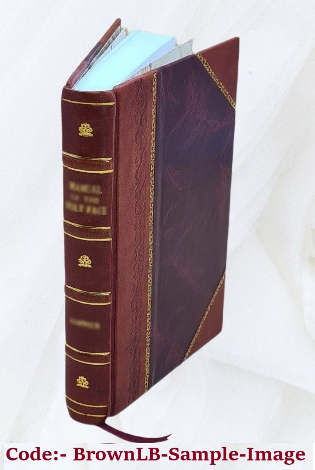 Leather Bound B497861