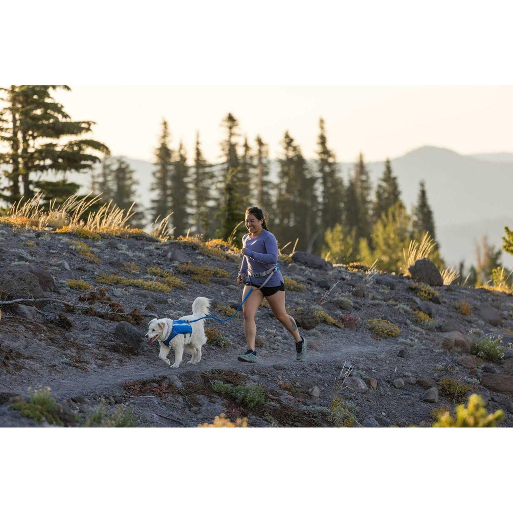 Trail Runner Belt J193430