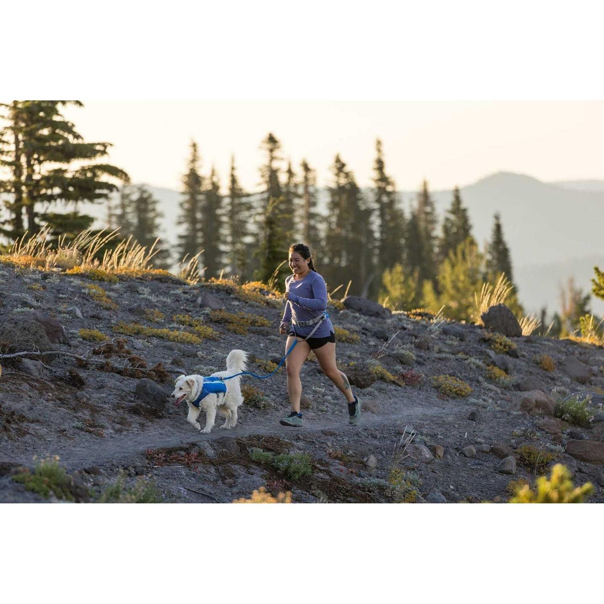 Trail Runner Belt J193430