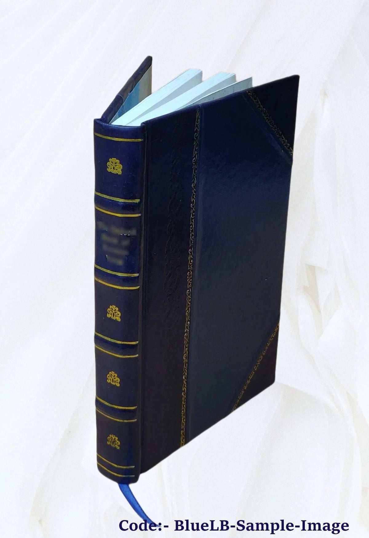 Leather Bound B497861
