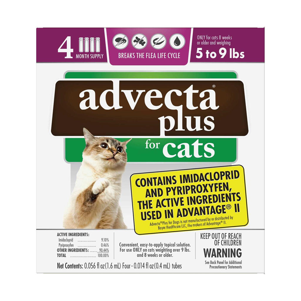 Flea Protection for Small Cats D3423