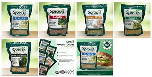 100% Organic Wheatgrass Seeds for Sprouting T280