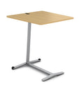 Platinum Metallic Warm Oak Laminate End Table I4502