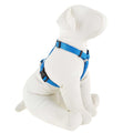 Dog Harness X99435