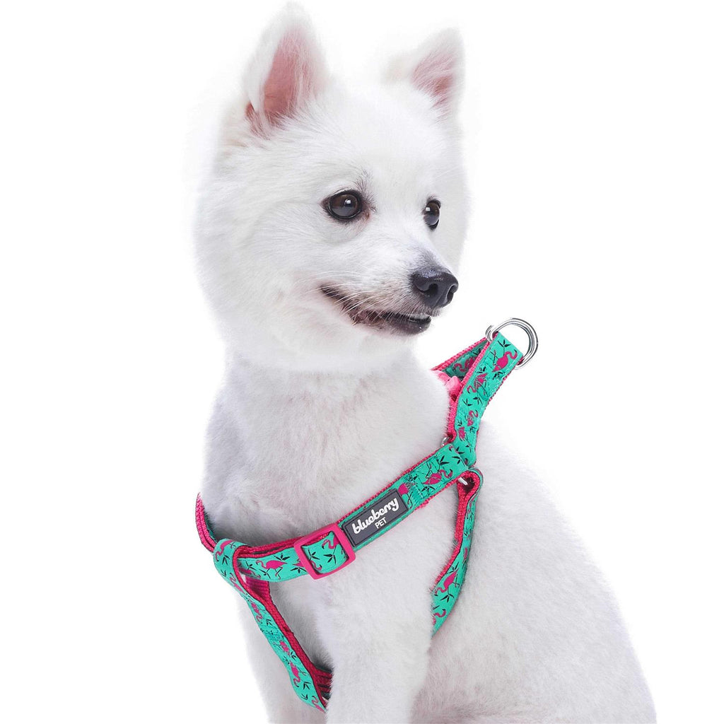 Step Dog Harness O466017