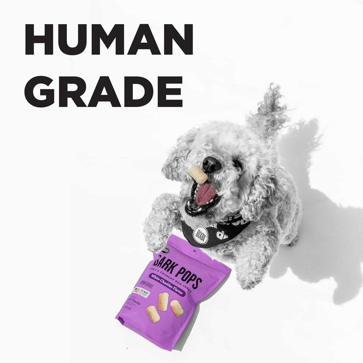 Dog Treats E961