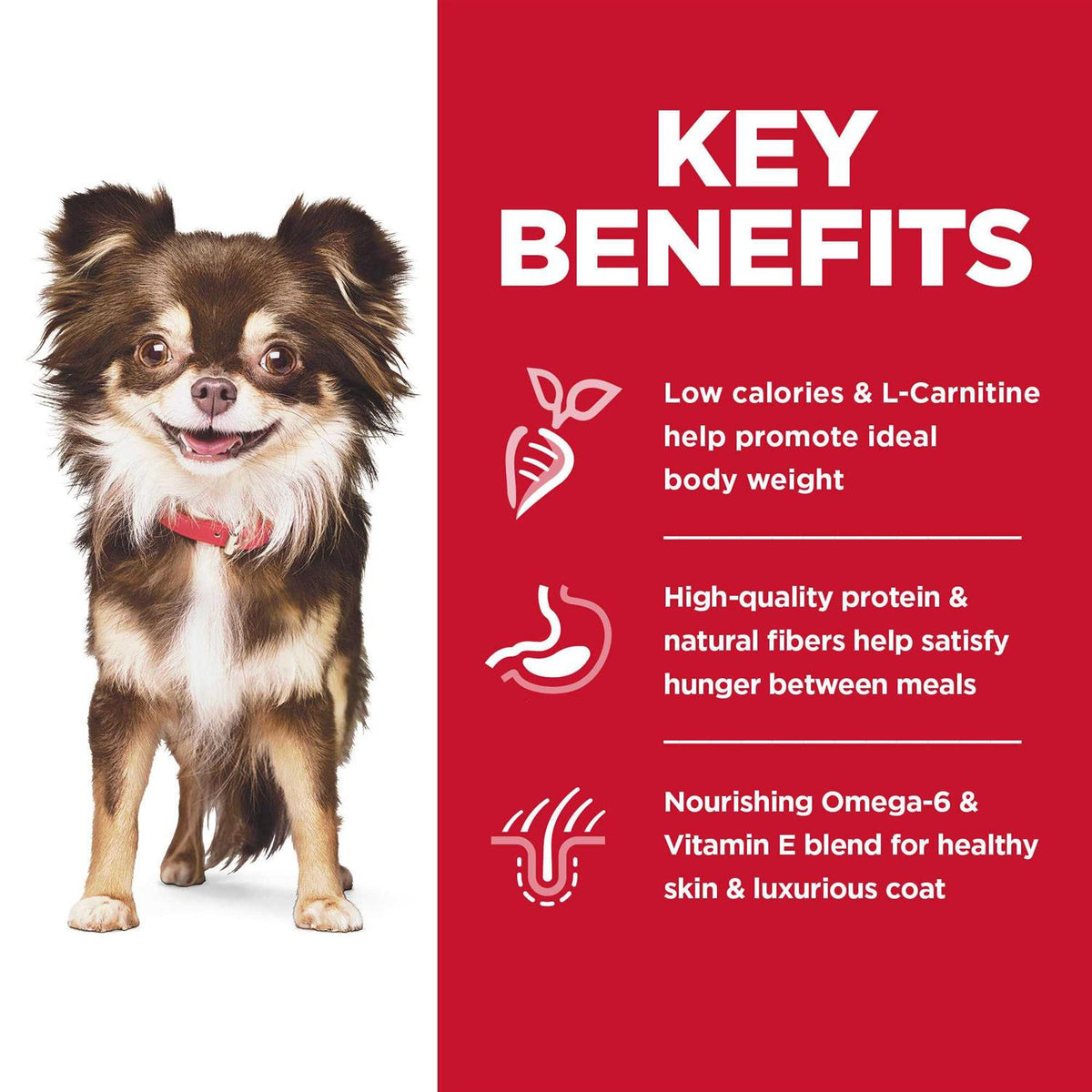 Chicken Dry Dog Food B732