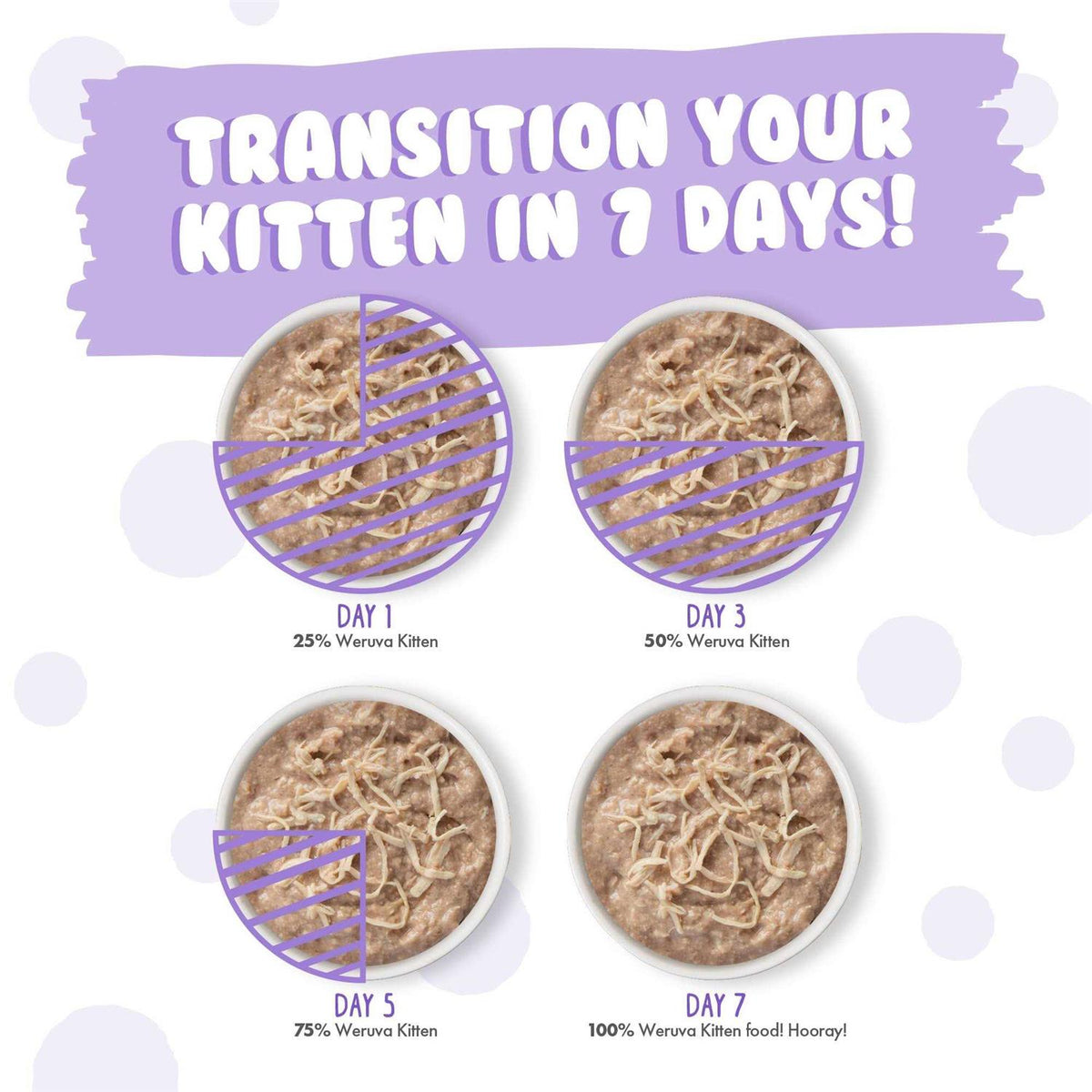 Wet Cat Food Variety Pack J68920