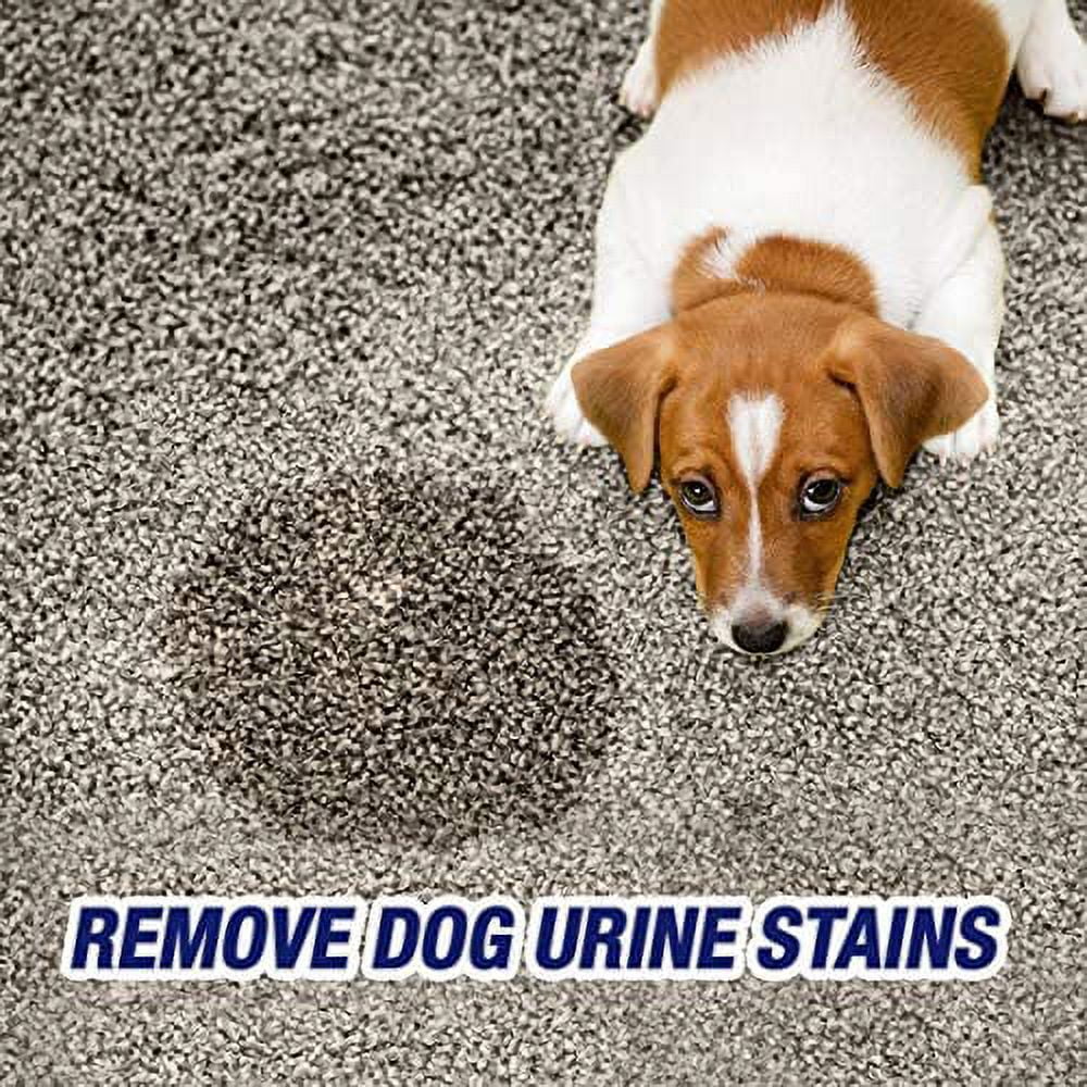 32oz Pack of 2 Pet Urine Stain & Odor Remover Spray M80489