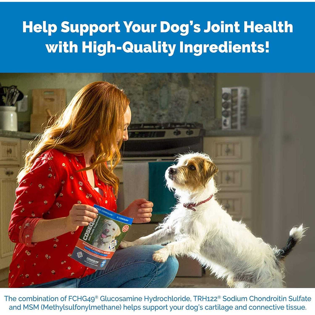 Chewable Tablets for Dogs K8996
