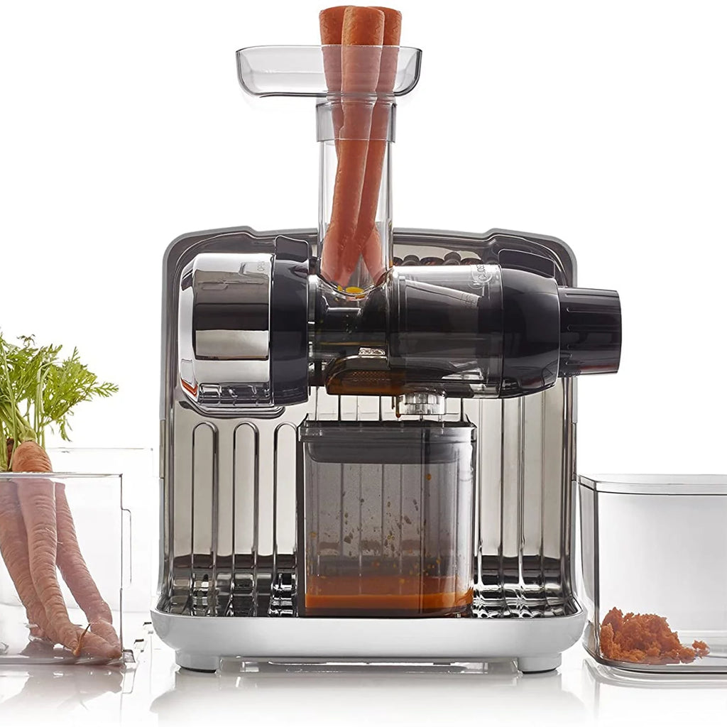200W Slow Masticating Juicer W904