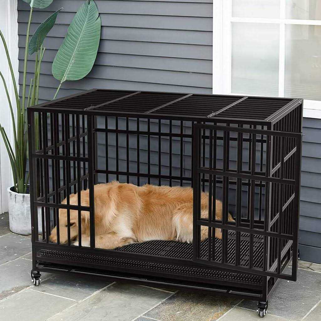 Heavy Duty Dog Crate with Removable Tray J91250