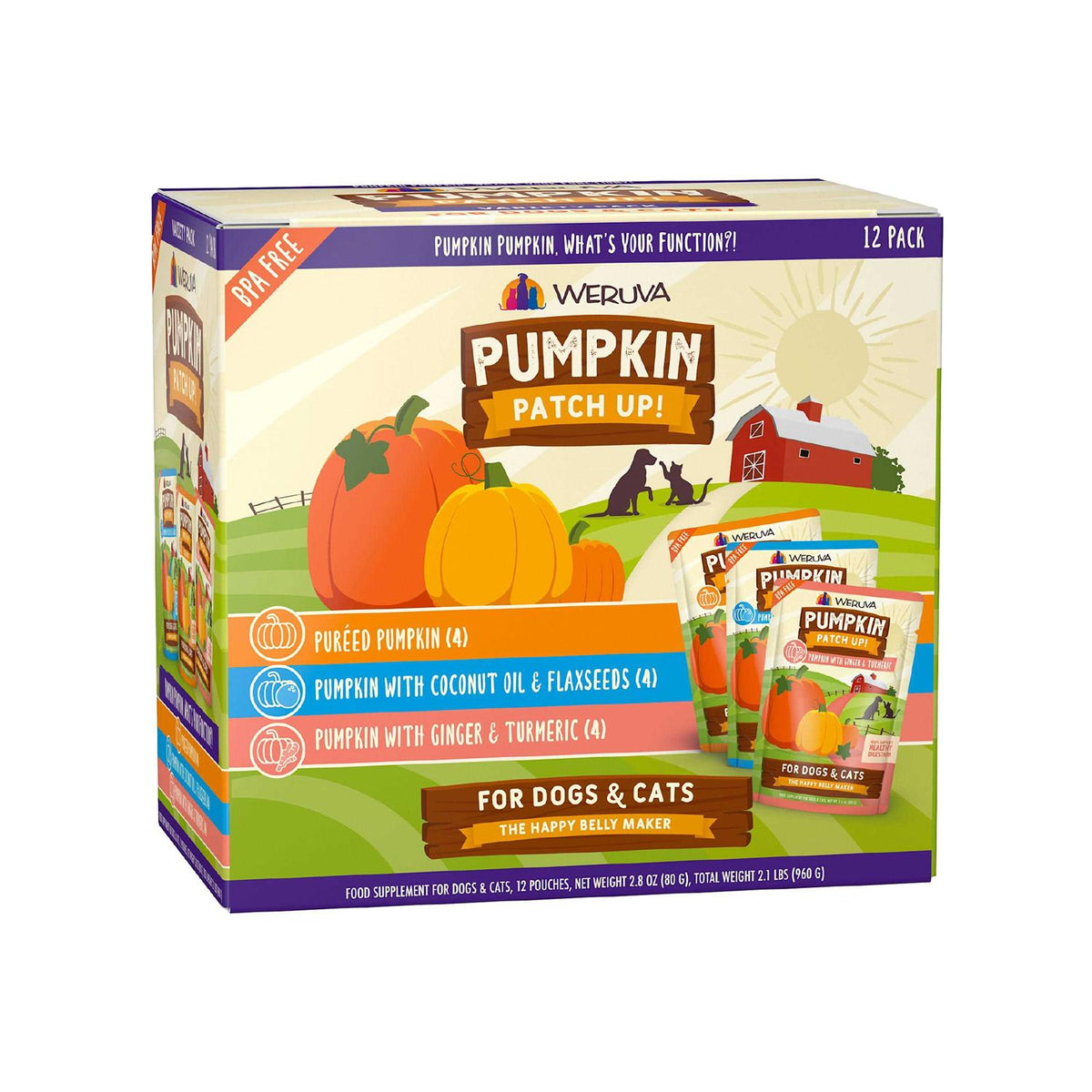 Pumpkin Patch Up I65308