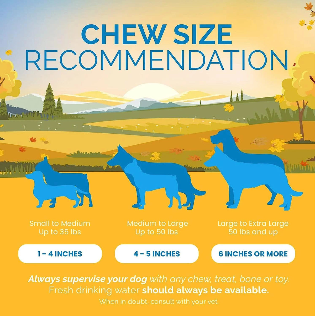 Beef Esophagus Gullet Jerky Dog Chews 6" 25 Count P2383