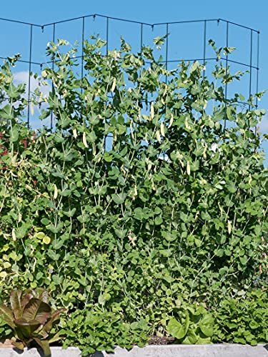 Expandable Pea Trellis, Powder-Coated Steel, 9'-3" L x 64" H E5285