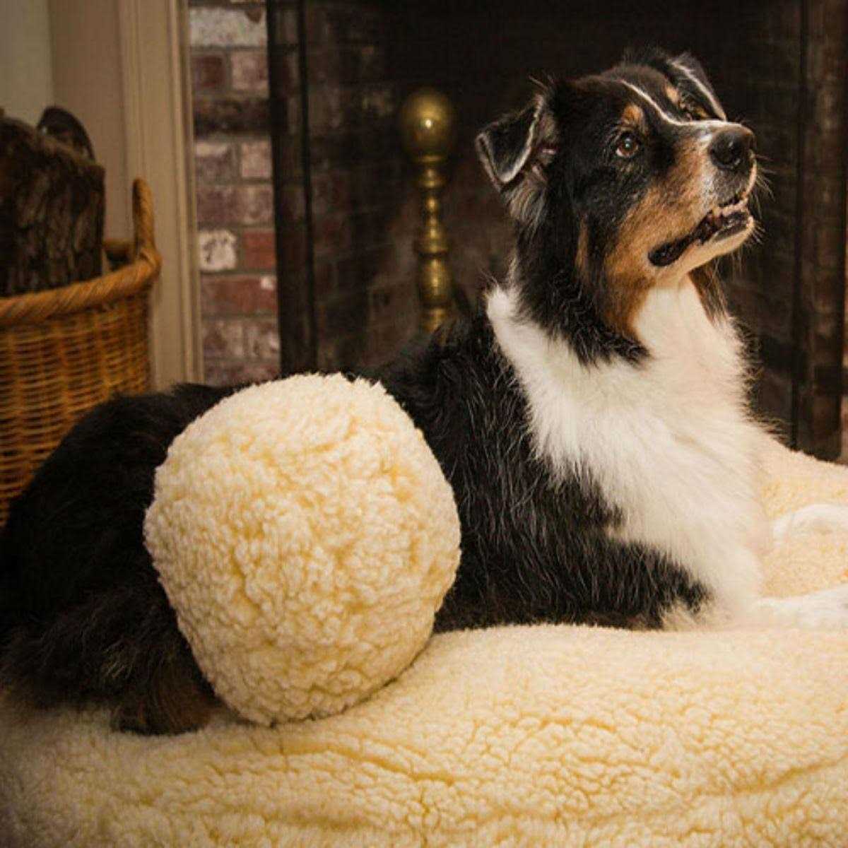 HuggleFleece Ball Dog Toy B8674