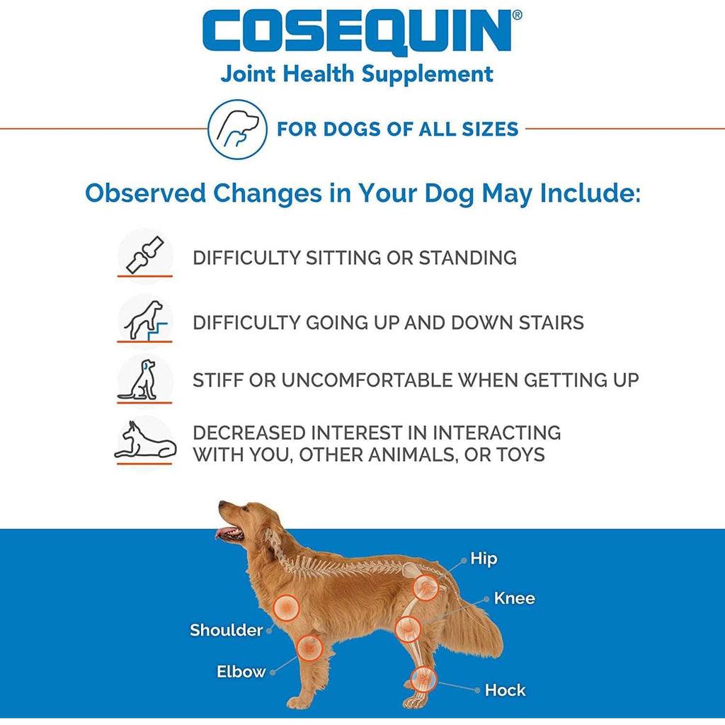 Chewable Tablets for Dogs K8996