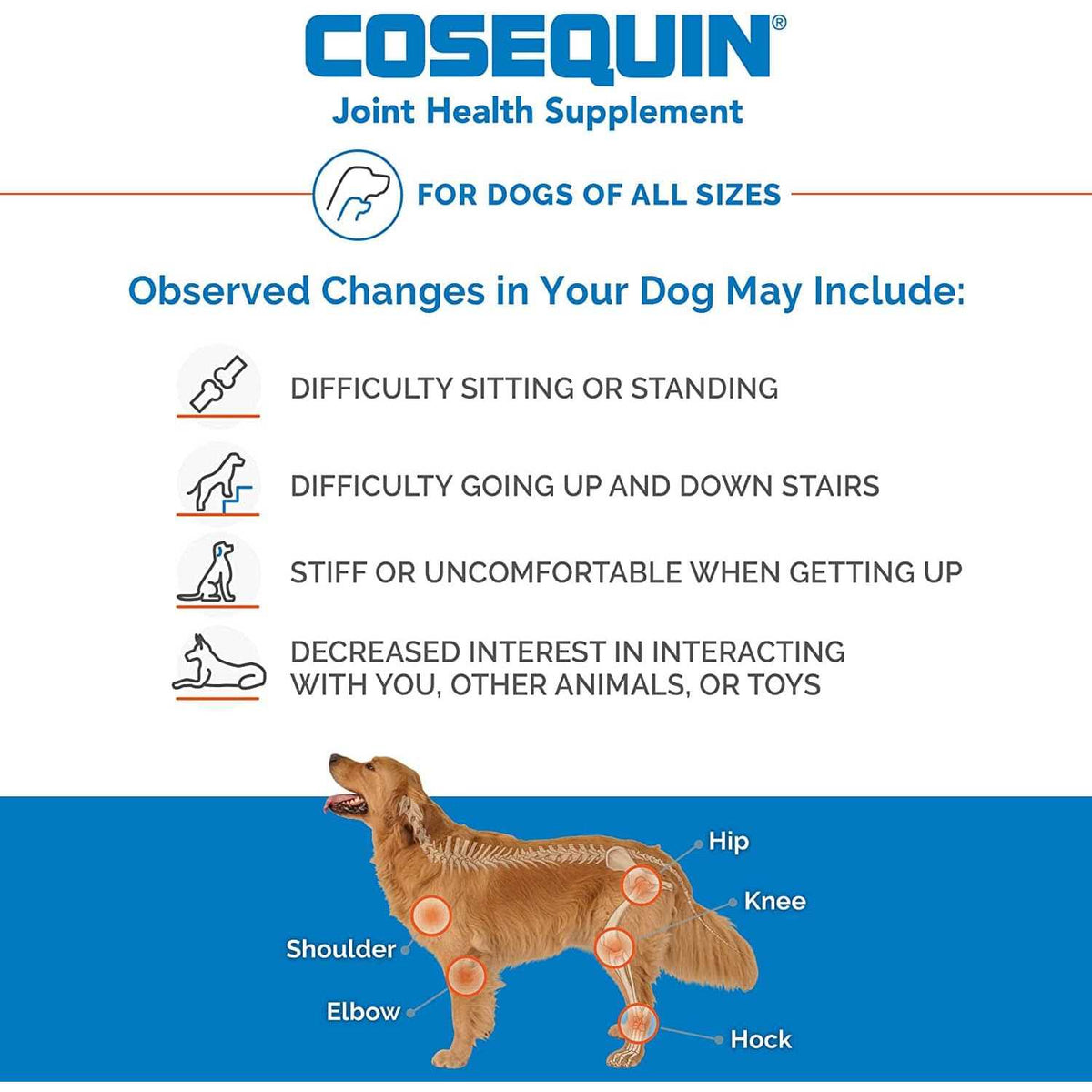 Chewable Tablets for Dogs K8996