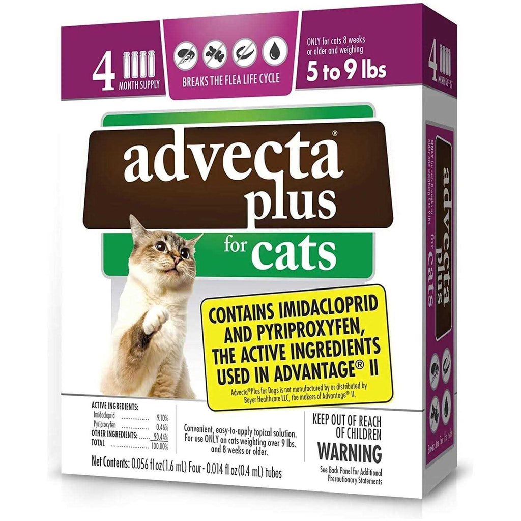 Flea Protection for Small Cats D3423