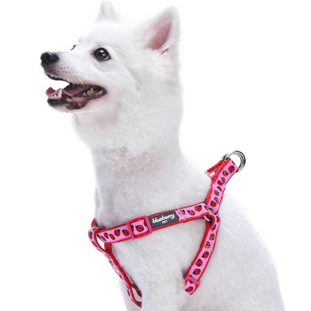 Step Dog Harness O466017