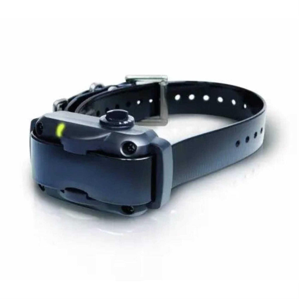 No Bark Collar N356