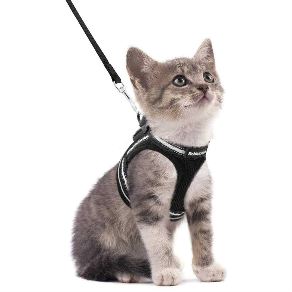Cat Harness and Leash Adjustable Soft Vest Q13998
