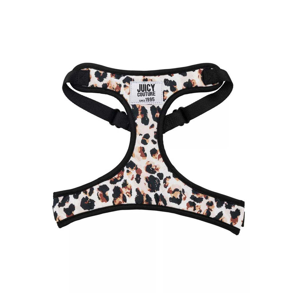 Harness & Leash Set Y773