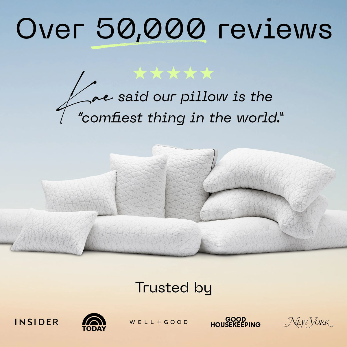 Queen Size Loft Pillow L67904