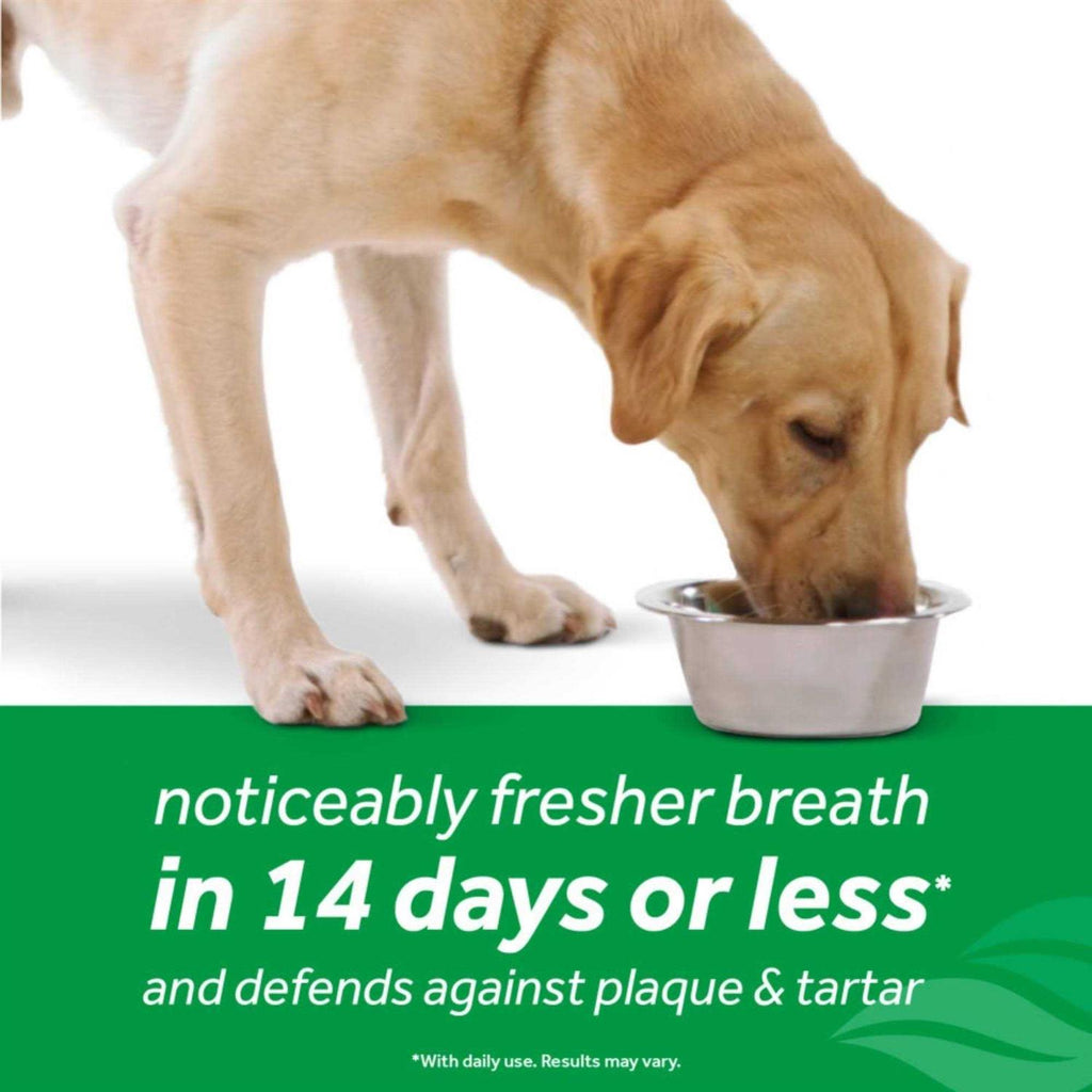 Dog Water Additive B5056