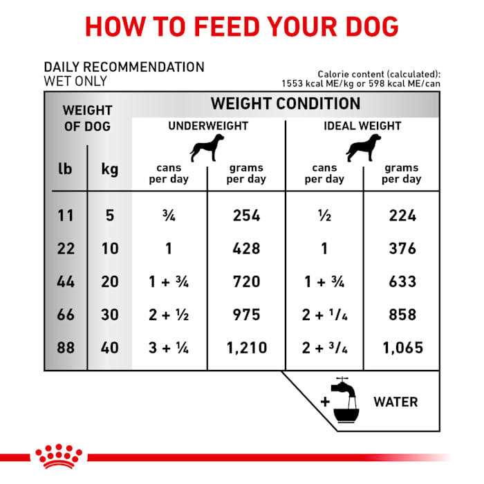 Veterinary Diet Canine Renal Support E Canned Dog Food H134436