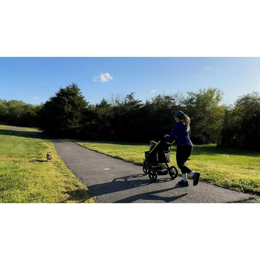 All Terrain Pet Jogging Stroller D24308