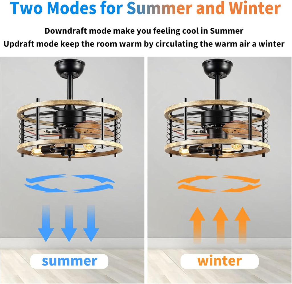 20'' Bladeless Ceiling Fan with Lights Remote Control D795