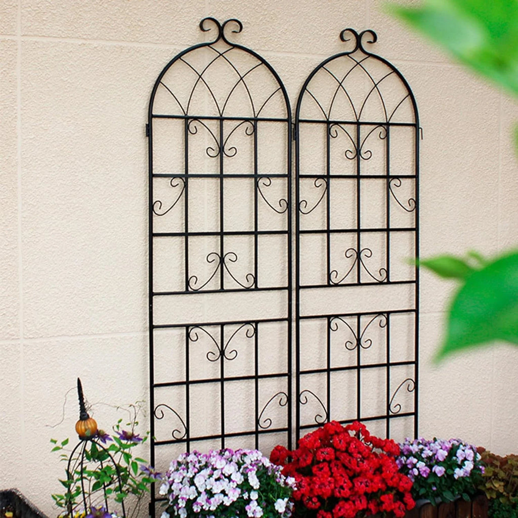 2 Pack Large Heavy Duty Rustproof Black Iron Plant Trellis L602