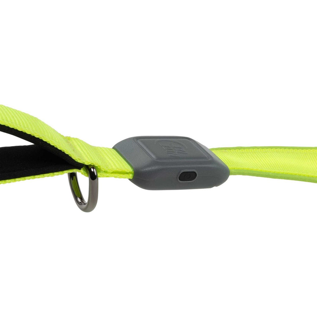Rechargeable LED Leash N5663