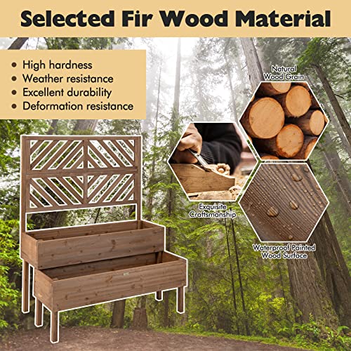 2-Tier Raised Wooden Garden Bed with Trellis W7257