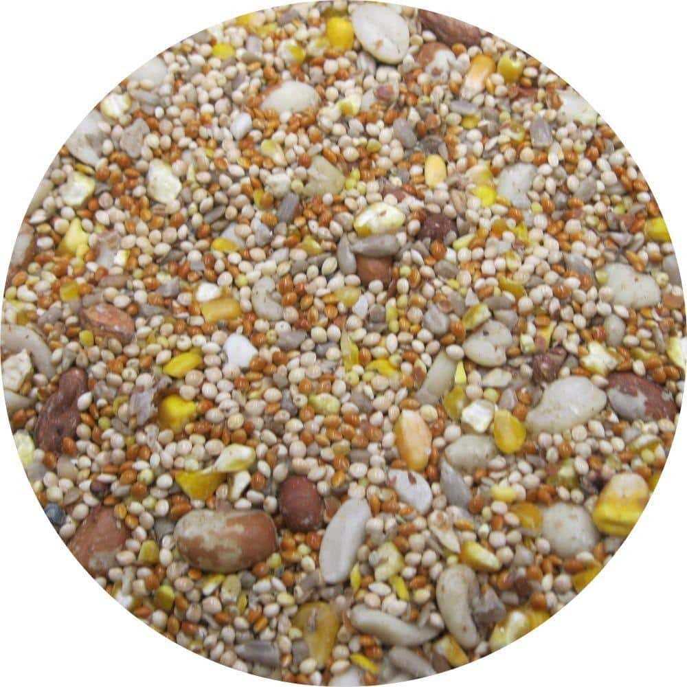 Wild Bird Food P6109