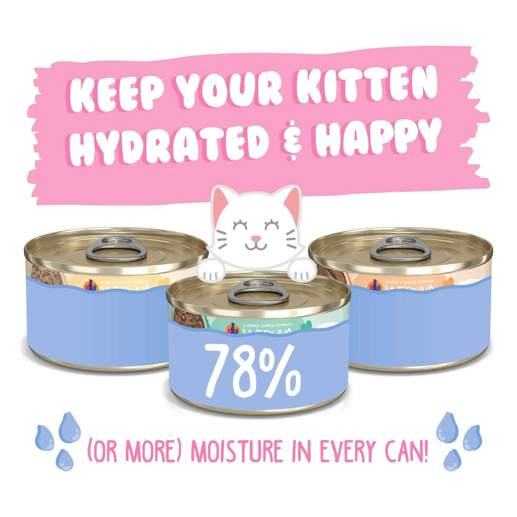 Wet Cat Food Variety Pack J68920