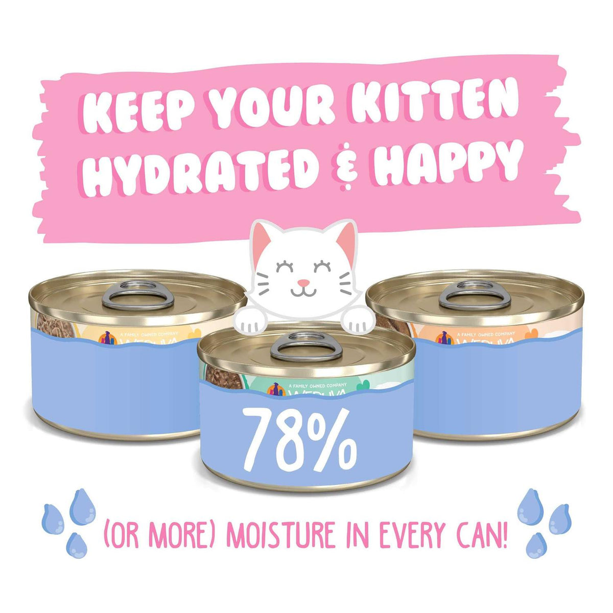 Wet Cat Food Variety Pack J68920