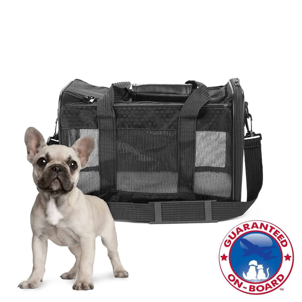 Pet Carrier P8430